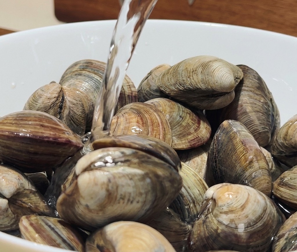 A close-up shot of hard clams in a white bowl being submerged under a stream of clear water for purging.