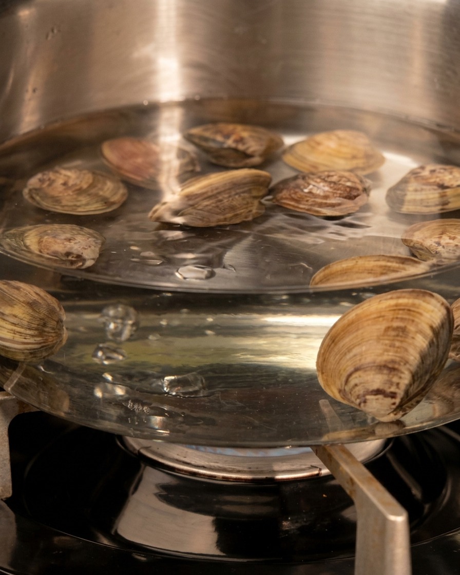 Fresh clams with their shells closed, submerging and cooking in a pot of boiling water over a gas stove.
