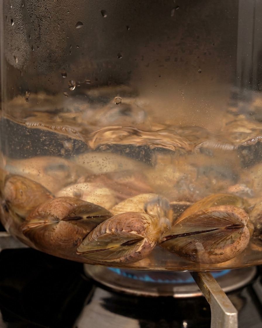 Fresh clams in their shells submerged in bubbling water inside a clear glass pot on a gas stove.