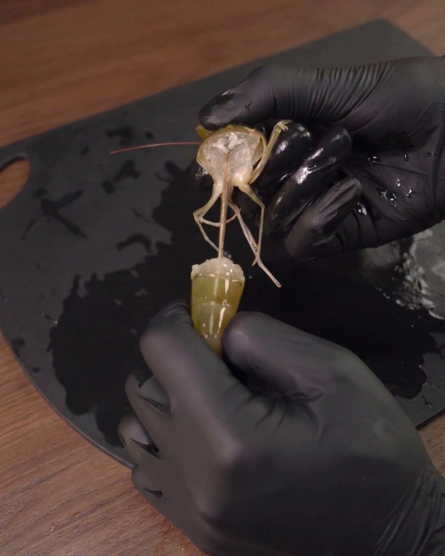 A person wearing black gloves pulling the head off a raw shrimp.
