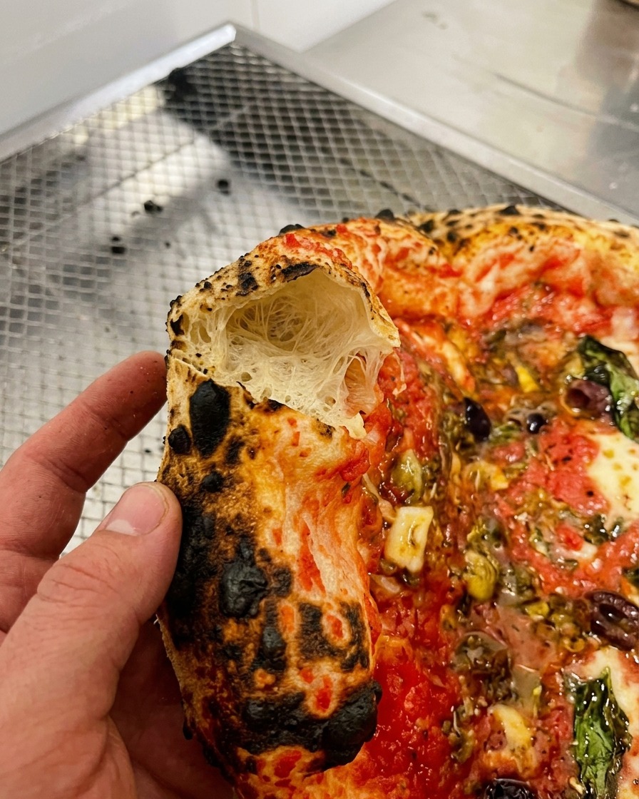 Close up of a hand holding a piece of charred pizza crust broken open to show the airy, webbed interior crumb.