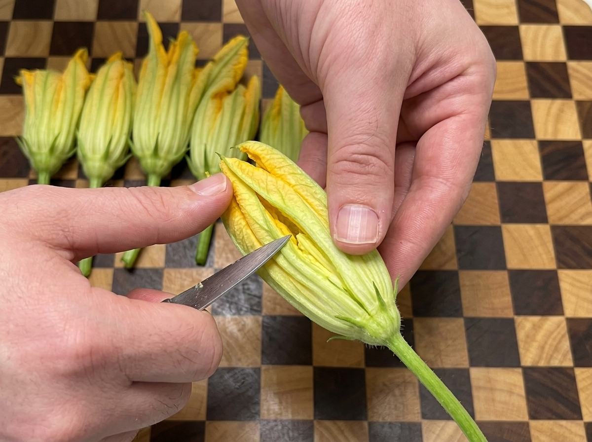 Hands holding a yellow pumpkin flower and making a longitudinal slice down its side with a small knife.