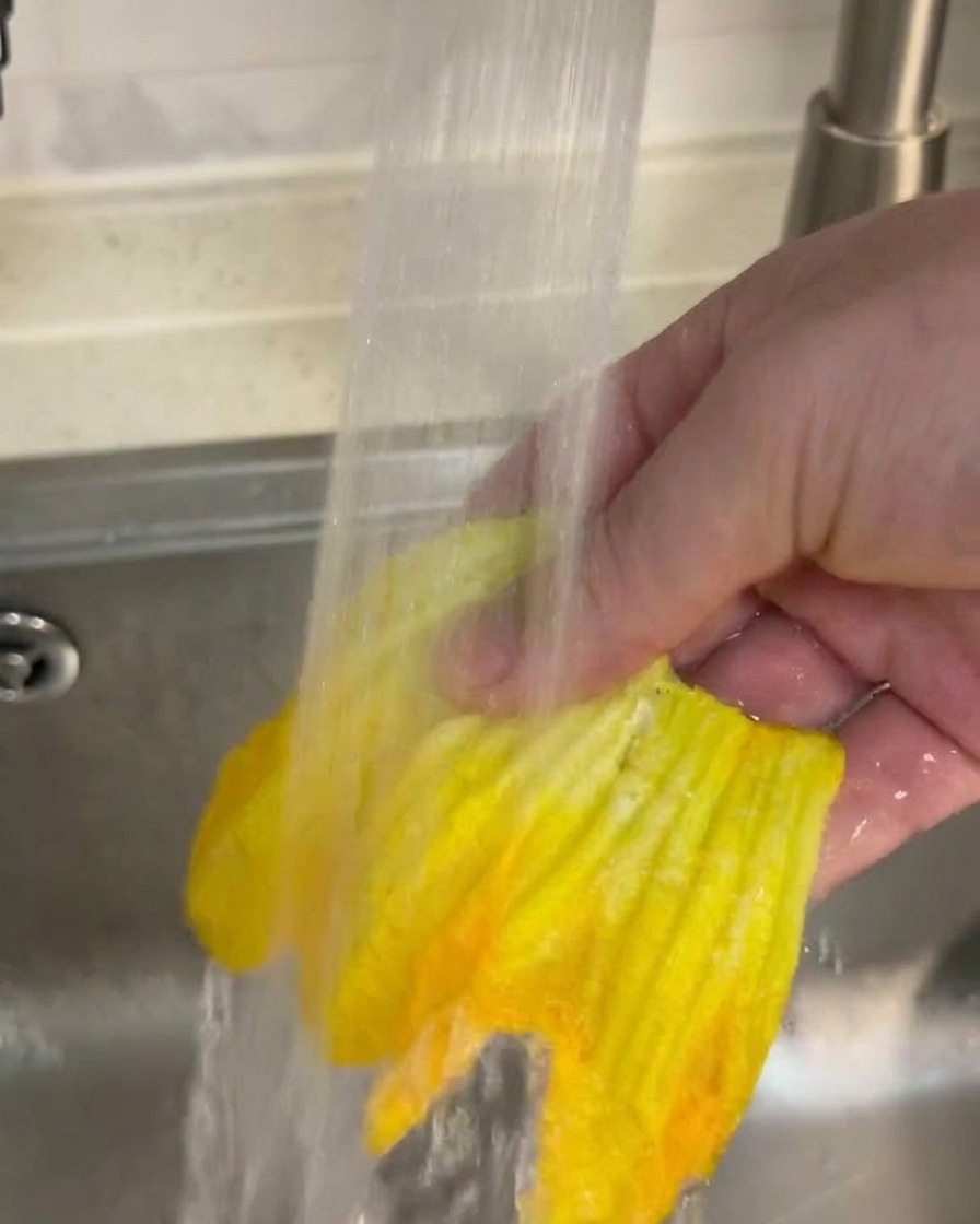 A hand holding a bright yellow pumpkin flower under a stream of running tap water in a kitchen sink.