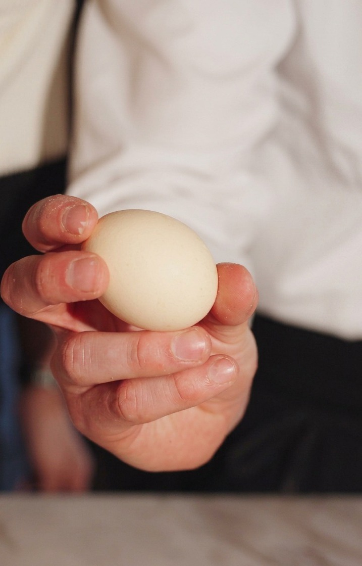 A persons hand holding a single, uncracked whole egg against a blurred background.