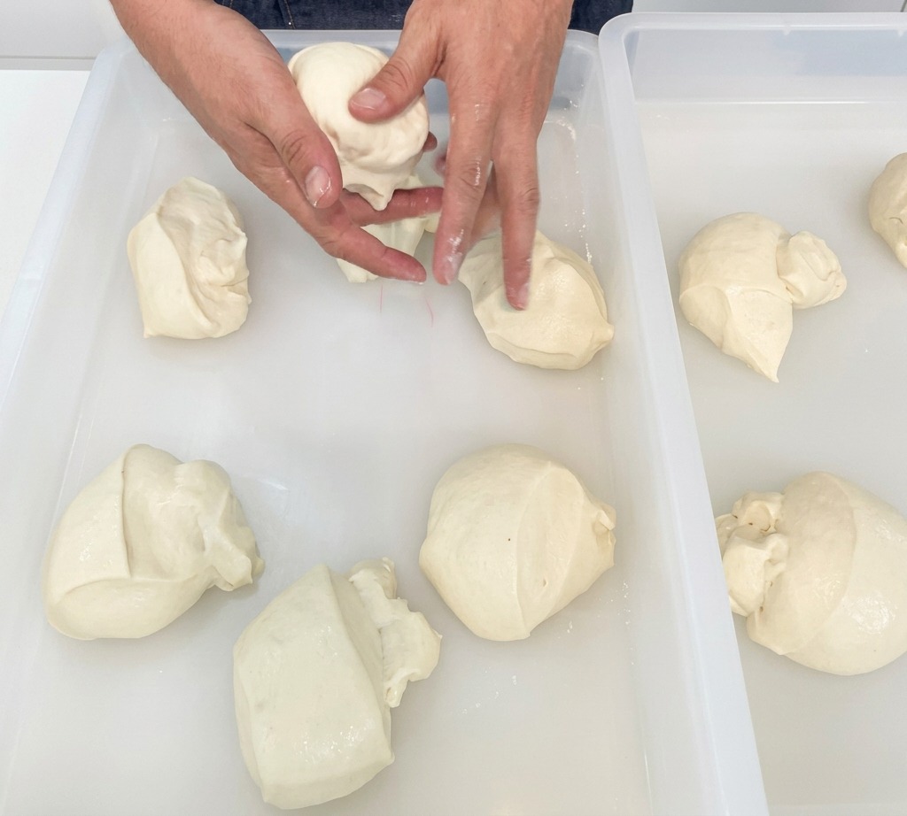 A close-up of hands shaping small portions of white dough into round balls inside a white plastic proofing tray.