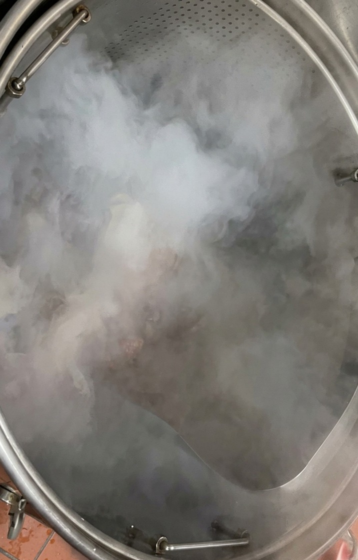 A tray of raw pink pork bones being tipped into a deep stainless steel vat filled with steaming, boiling water.