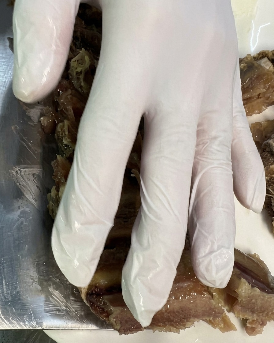 A gloved hand arranging chopped pieces of steamed cured pork ribs onto a clean white plate.