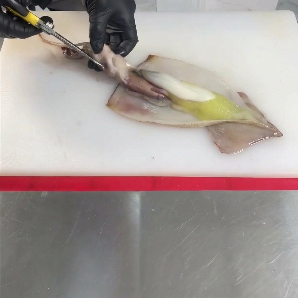 Gloved hands using scissors to cut open and clean a raw squid on a white cutting board.