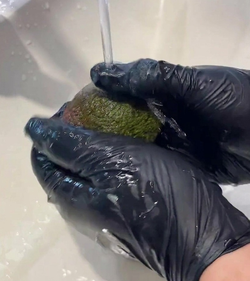 An avocado cut in half with the pit removed, sitting on a wooden cutting board.