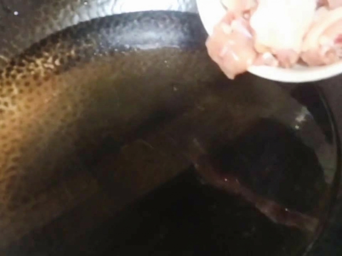 Raw chicken chunks being poured from a white plate into a wok filled with cold water.