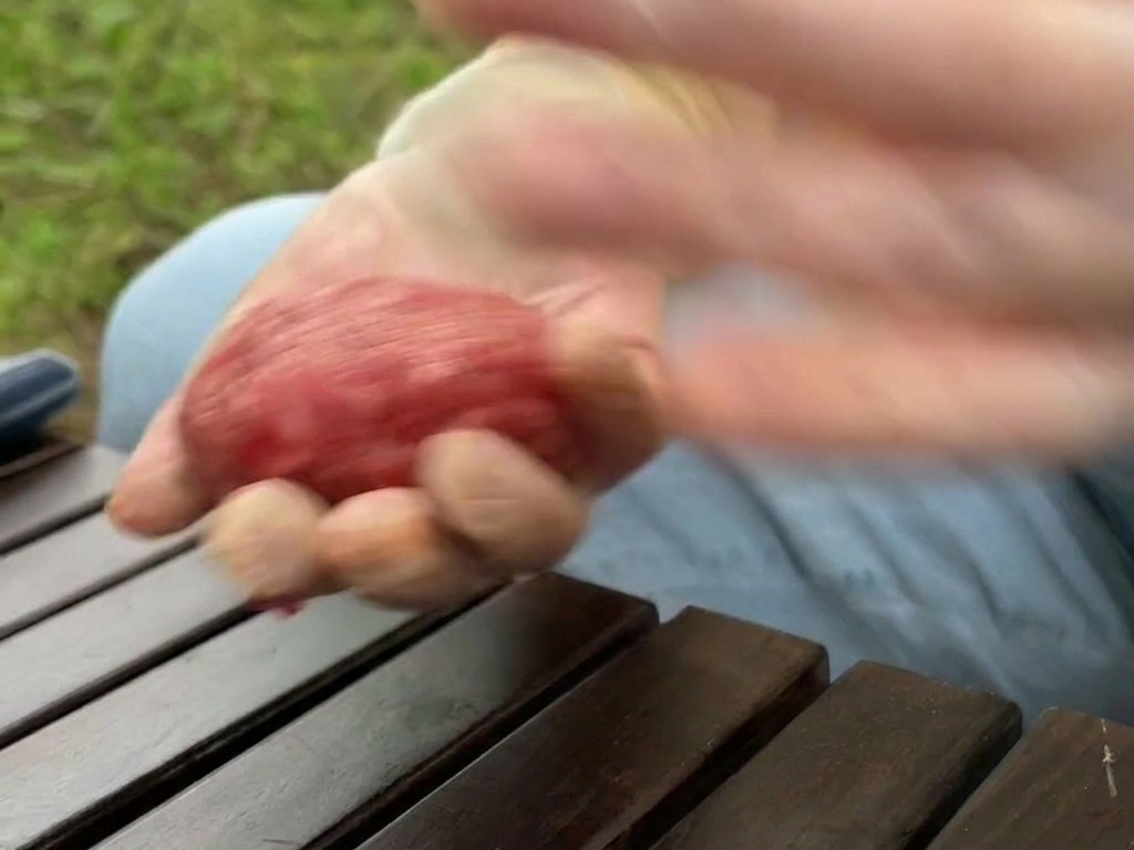 A motion-blurred shot of gloved hands tossing and slapping a round ball of raw seasoned ground beef.