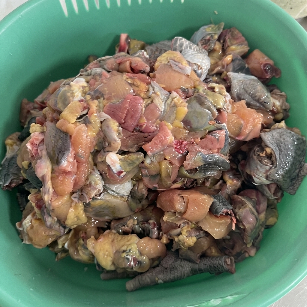 A green plastic basket filled with freshly chopped pieces of raw silkie chicken, displaying its characteristic dark skin.