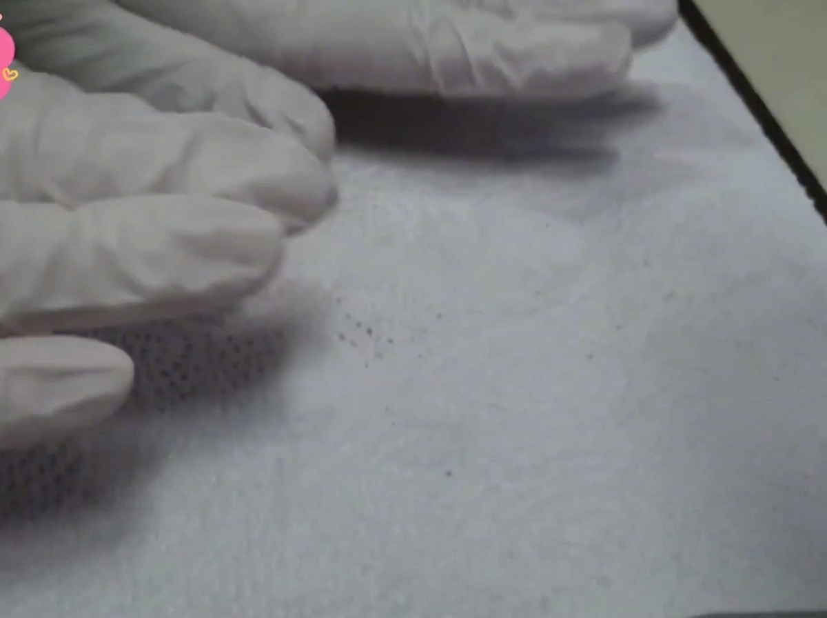A close-up view of white paper towels being used to blot moisture from raw beef tenderloin slices.