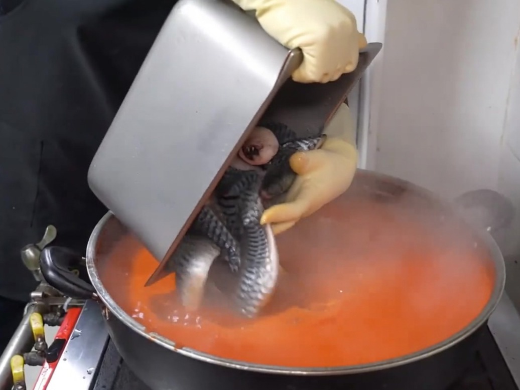 Mackerel pieces being carefully dropped into a pot of bubbling, bright red spicy broth.