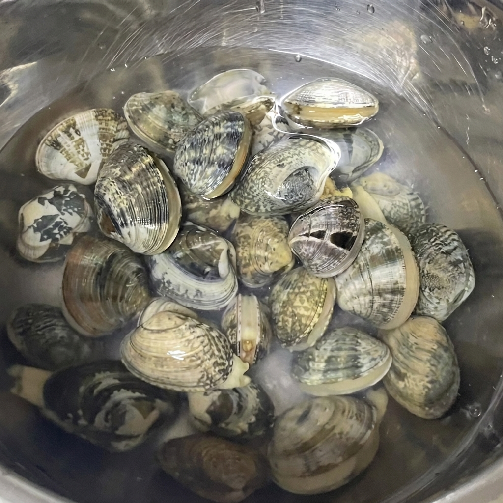 A collection of fresh, raw clams resting in a metal bowl of clear water.