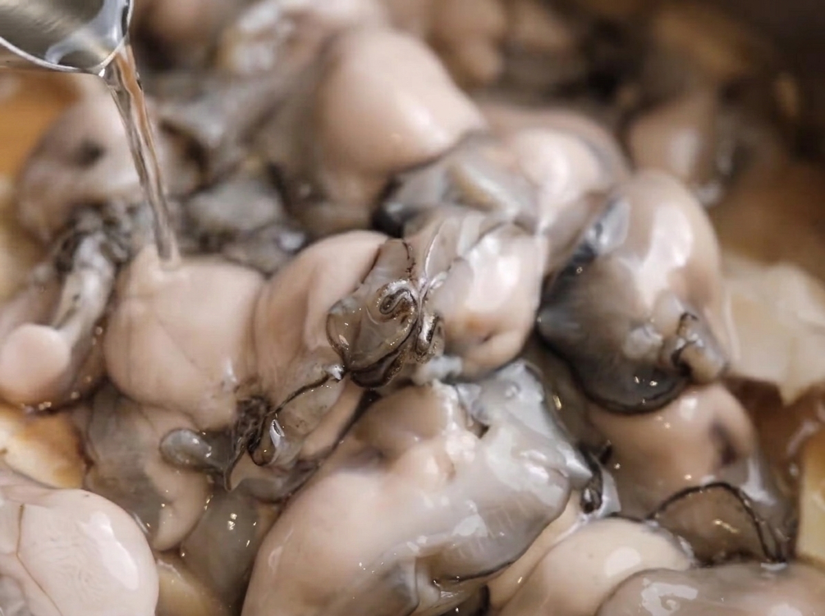 White pepper being evenly sprinkled over the oysters in the pot.