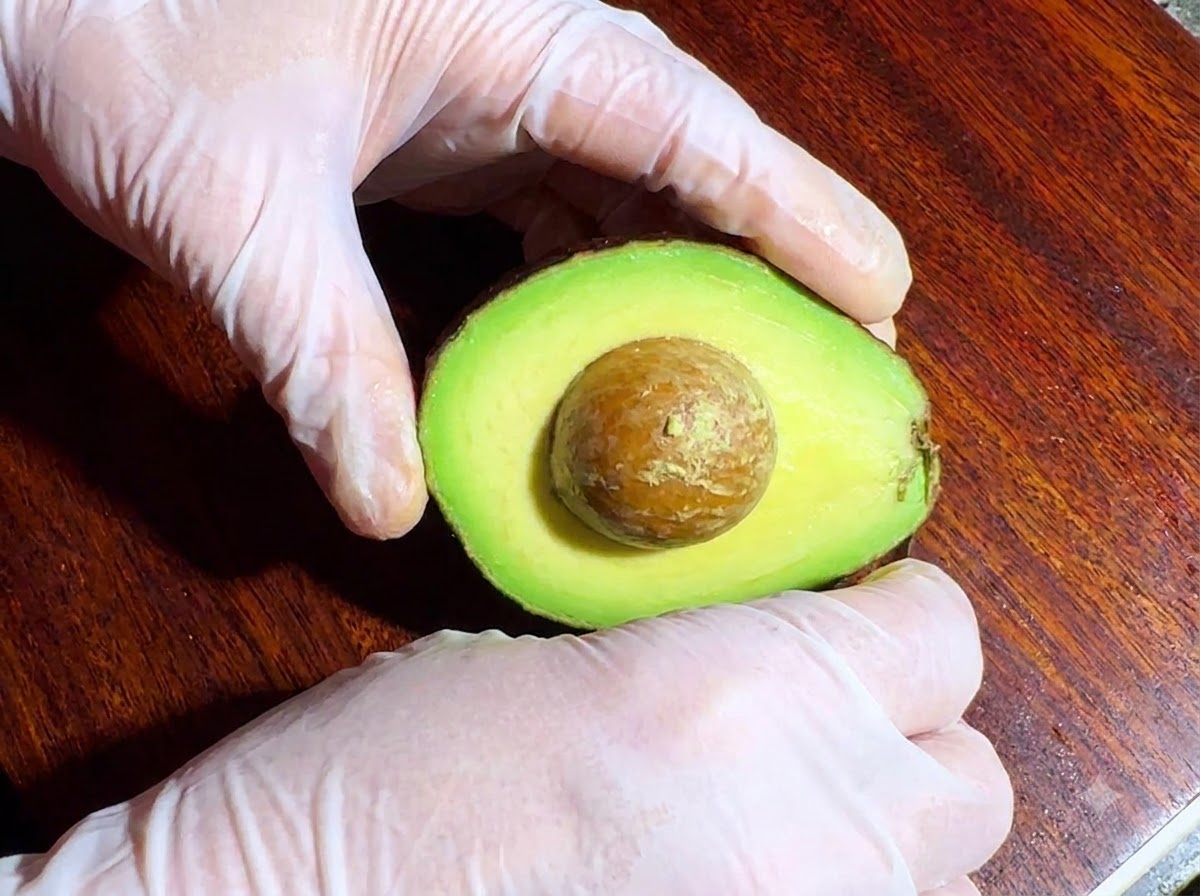 An avocado cut in half showing the pit, held by gloved hands on a wooden cutting board.