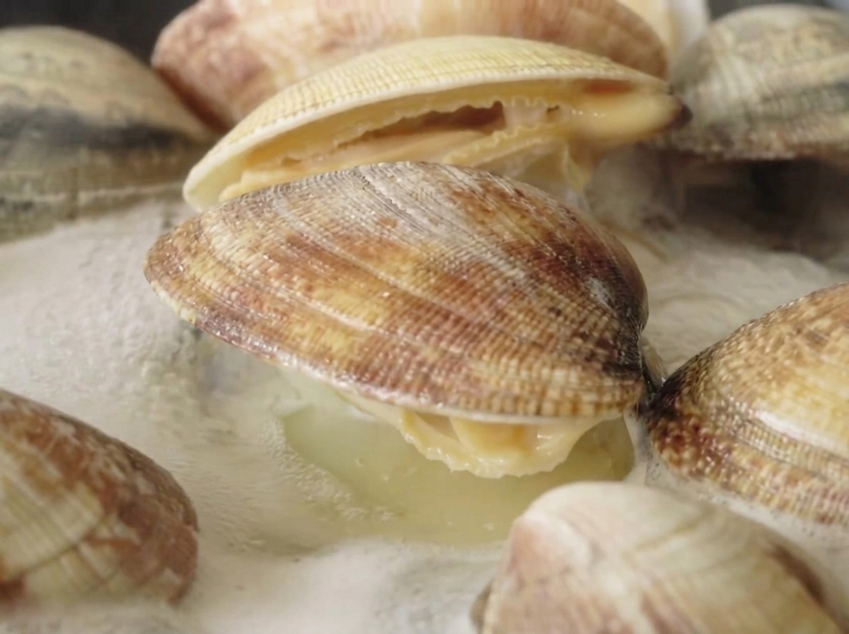 Fresh clams boiling in a pot of bubbling water, with several shells visibly opened.