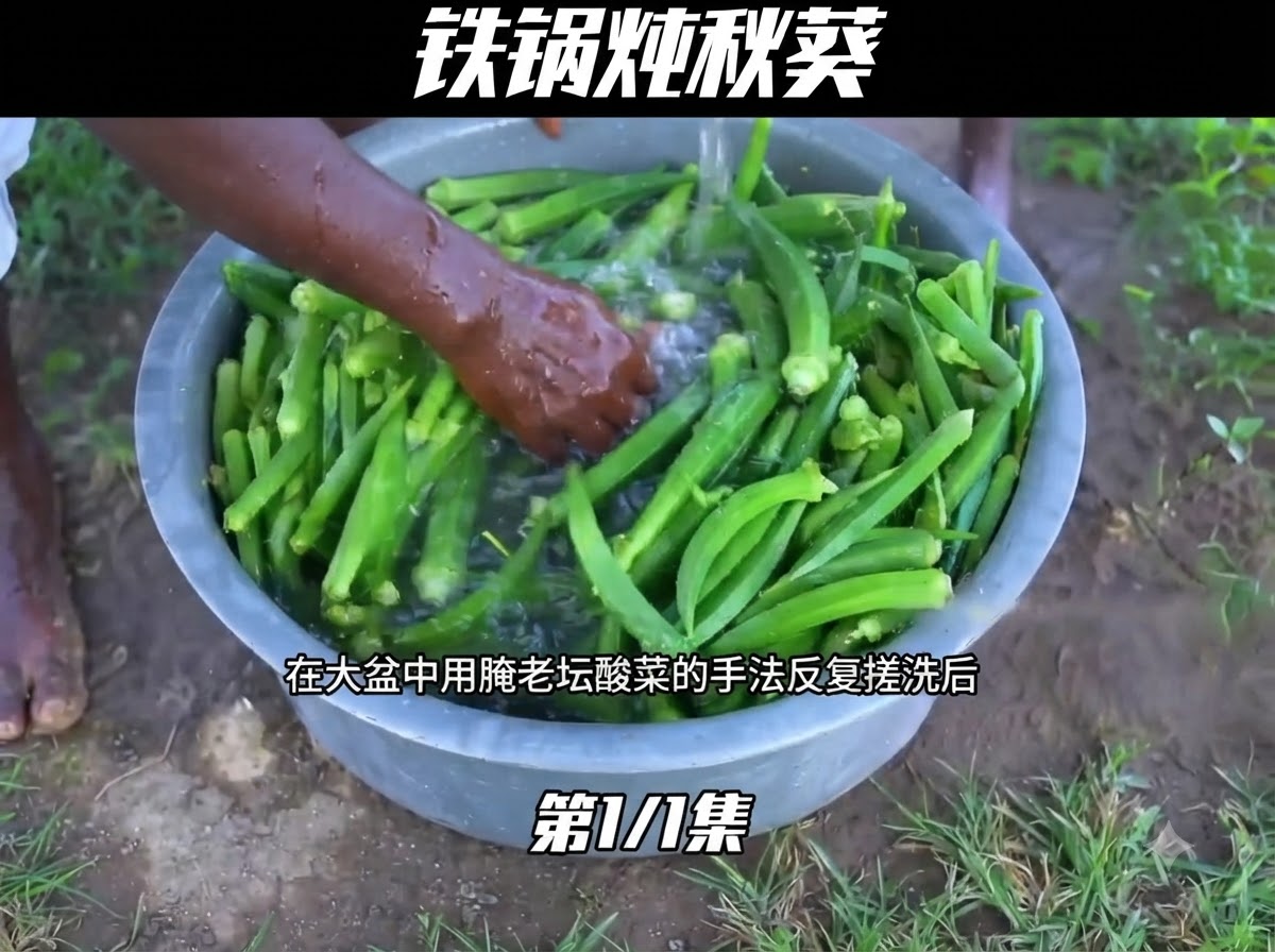 Raw green okra being washed thoroughly with water inside a large metal basin.